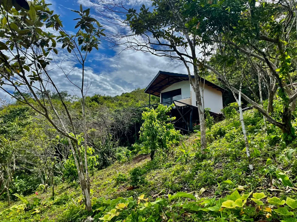 Entre jardines y montañas